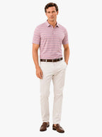 Men's Classic Stripe Golf Polo